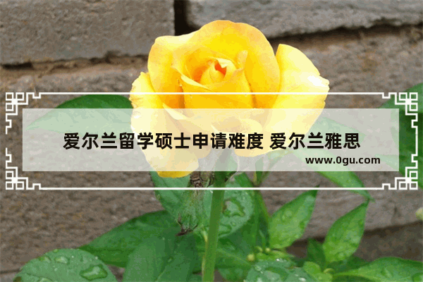 爱尔兰留学硕士申请难度 爱尔兰雅思