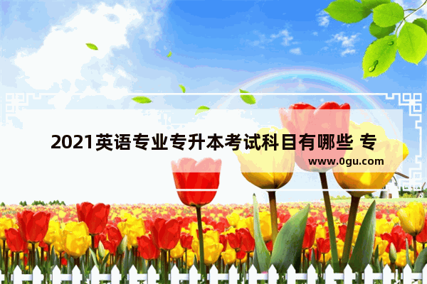 2021英语专业专升本考试科目有哪些 专升本英语考试考什么