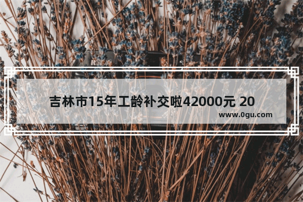 吉林市15年工龄补交啦42000元 2021年退休能开多少钱_201512月英语四级答案