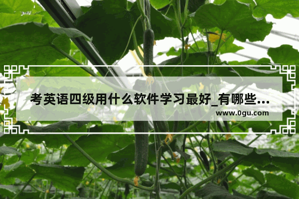 考英语四级用什么软件学习最好_有哪些有英音发音的背单词app