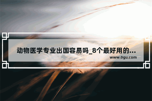 动物医学专业出国容易吗_8个最好用的手机App有哪些推荐？绝对不套路