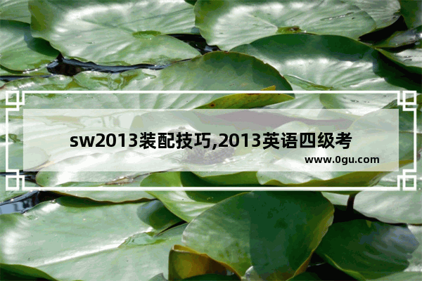 sw2013装配技巧,2013英语四级考试流程