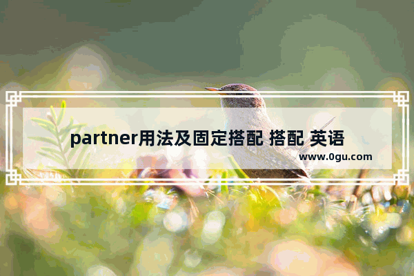 partner用法及固定搭配 搭配 英语