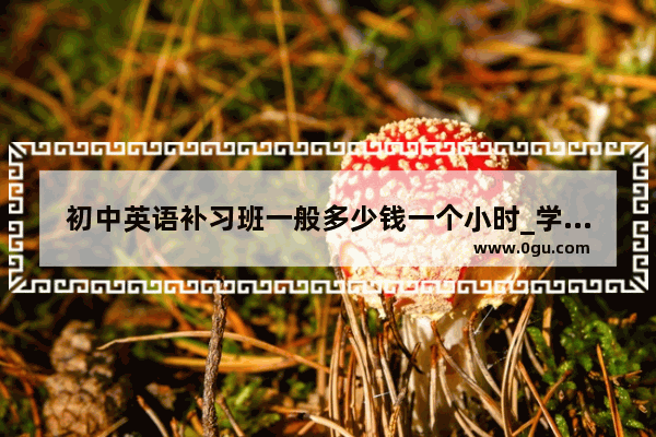 初中英语补习班一般多少钱一个小时_学初中英语 有必要上补习班吗