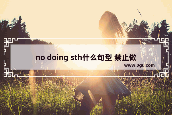 no doing sth什么句型 禁止做什么英语语法