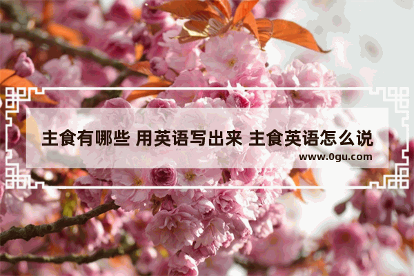 主食有哪些 用英语写出来 主食英语怎么说