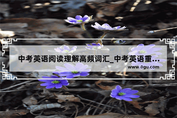 中考英语阅读理解高频词汇_中考英语重点词汇短语和高频词汇