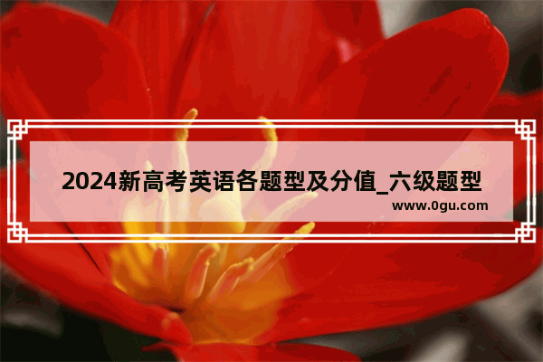 2024新高考英语各题型及分值_六级题型及其分值