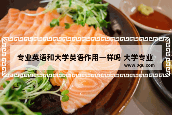 专业英语和大学英语作用一样吗 大学专业  英语