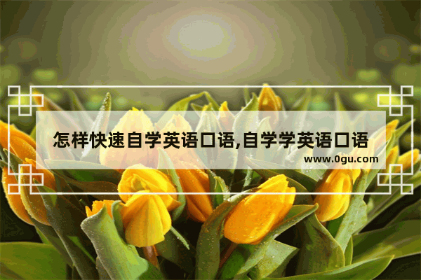怎样快速自学英语口语,自学学英语口语