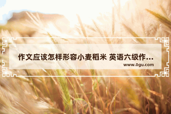 作文应该怎样形容小麦稻米 英语六级作文小麦