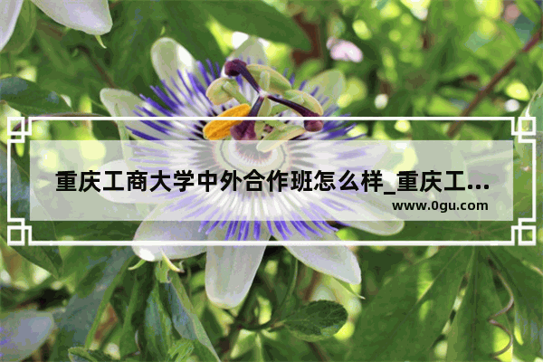 重庆工商大学中外合作班怎么样_重庆工商大学是什么意思
