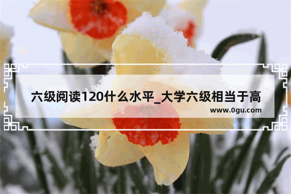 六级阅读120什么水平_大学六级相当于高考什么水平