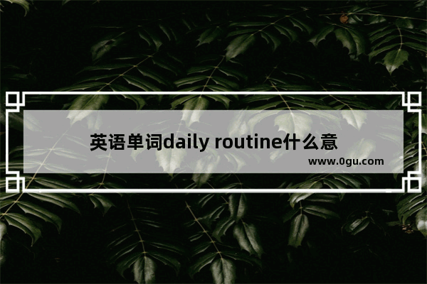英语单词daily routine什么意思 日常生活英语怎么说