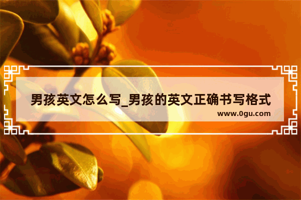 男孩英文怎么写_男孩的英文正确书写格式