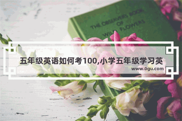 五年级英语如何考100,小学五年级学习英语