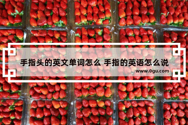 手指头的英文单词怎么 手指的英语怎么说