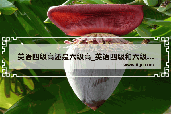 英语四级高还是六级高_英语四级和六级哪个重要