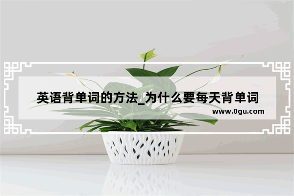 英语背单词的方法_为什么要每天背单词
