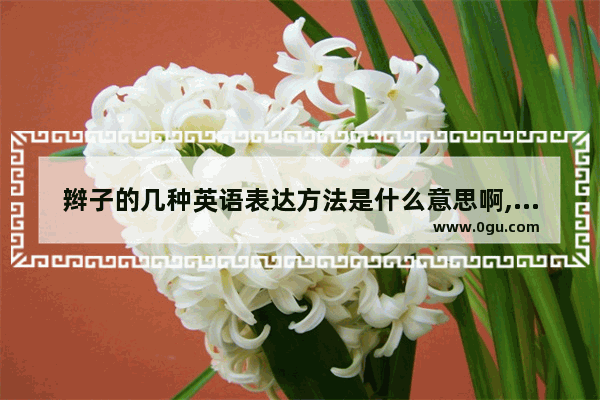 辫子的几种英语表达方法是什么意思啊,头发英语