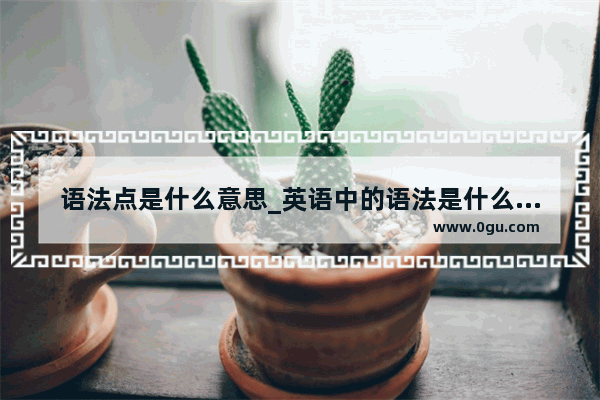 语法点是什么意思_英语中的语法是什么意思？求详解