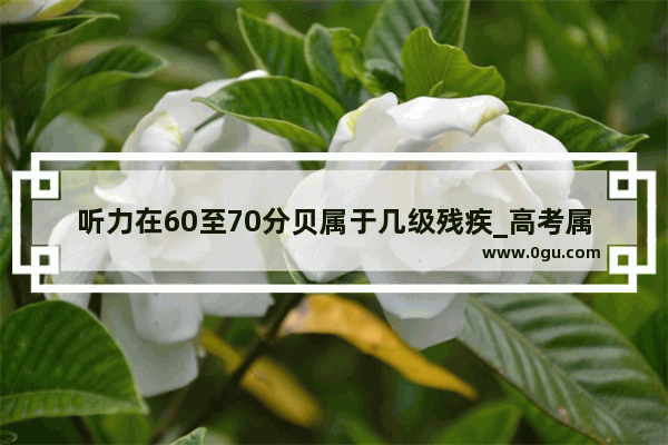 听力在60至70分贝属于几级残疾_高考属于英语几级