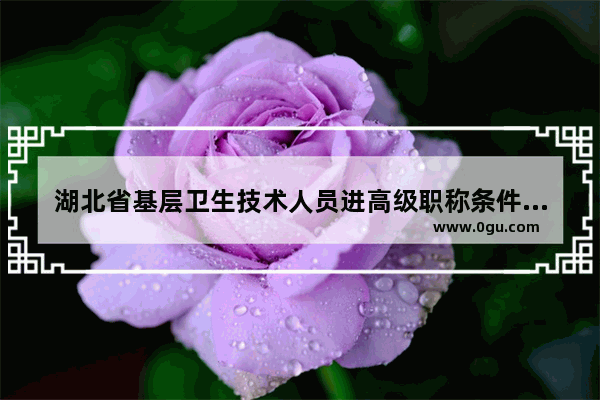湖北省基层卫生技术人员进高级职称条件,湖北卫生职称英语考试