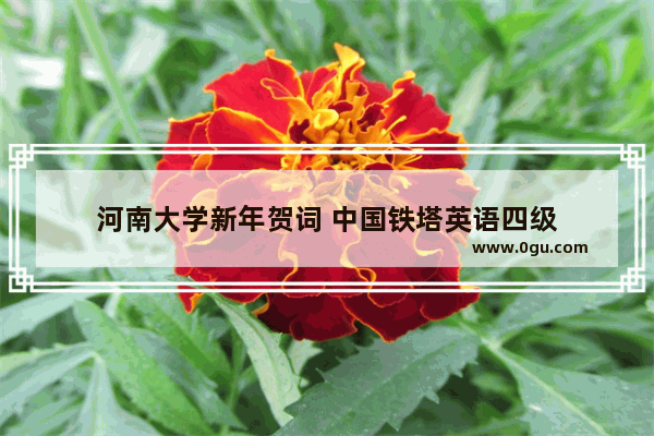 河南大学新年贺词 中国铁塔英语四级