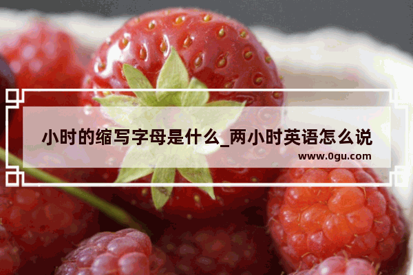小时的缩写字母是什么_两小时英语怎么说