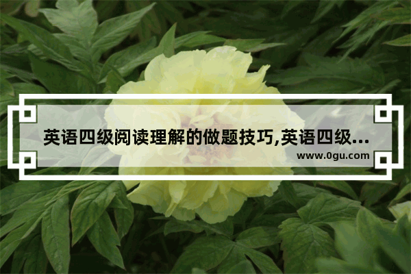 英语四级阅读理解的做题技巧,英语四级技巧 心得