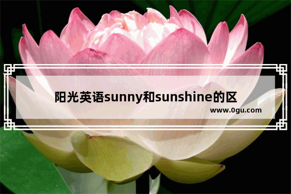 阳光英语sunny和sunshine的区别,晴朗的英语怎么说