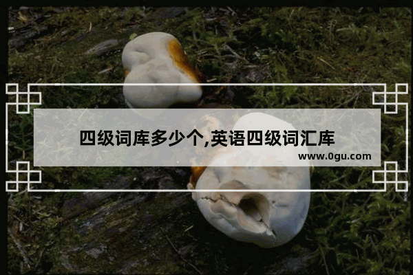 四级词库多少个,英语四级词汇库