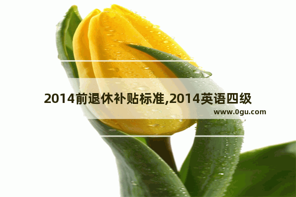 2014前退休补贴标准,2014英语四级卷子