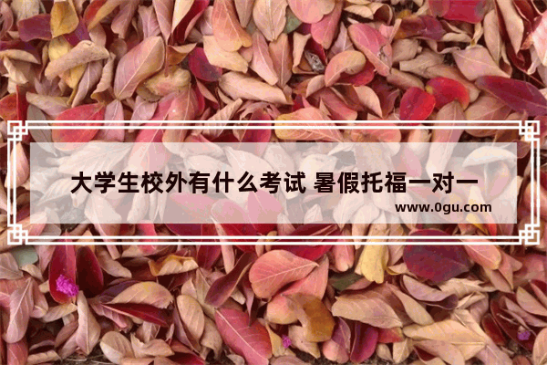 大学生校外有什么考试 暑假托福一对一