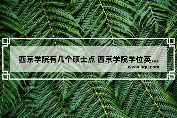 西京学院有几个硕士点 西京学院学位英语考试