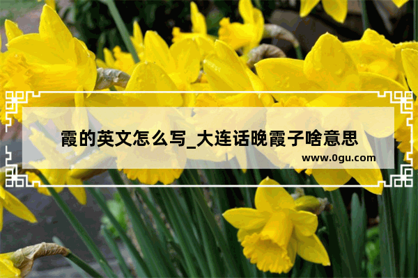 霞的英文怎么写_大连话晚霞子啥意思