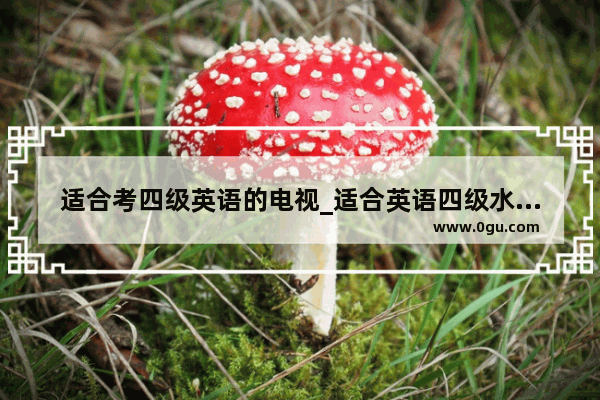 适合考四级英语的电视_适合英语四级水平看的英文原著有哪些
