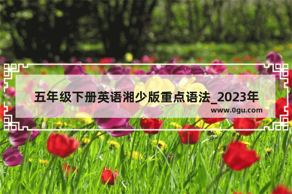 五年级下册英语湘少版重点语法_2023年商务部定向选调加试英语考试的形式