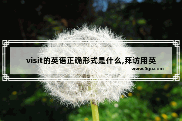 visit的英语正确形式是什么,拜访用英语怎么说