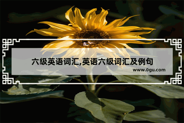 六级英语词汇,英语六级词汇及例句