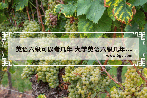 英语六级可以考几年 大学英语六级几年过期