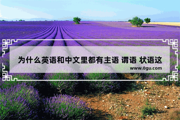 为什么英语和中文里都有主语 谓语 状语这些语法 而且意义是一样的_英文参考文献和中文参考文献的区别