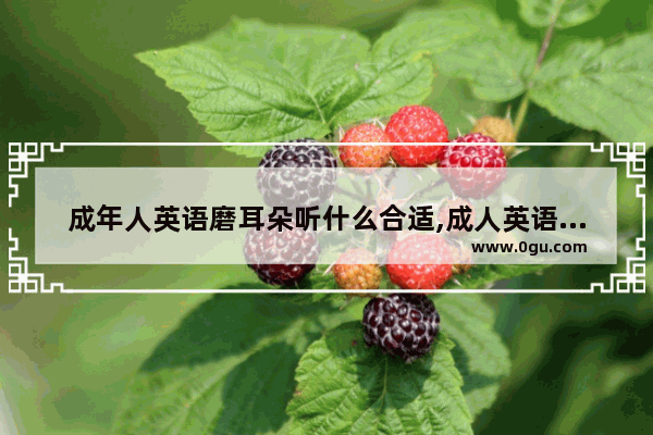 成年人英语磨耳朵听什么合适,成人英语听力口语