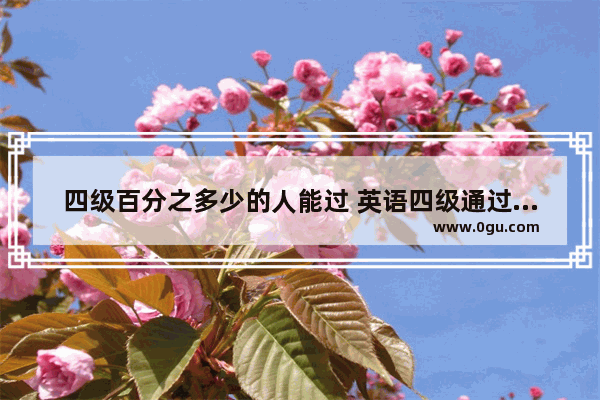 四级百分之多少的人能过 英语四级通过比例
