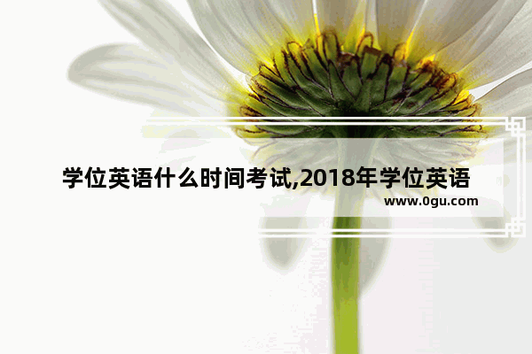 学位英语什么时间考试,2018年学位英语考试