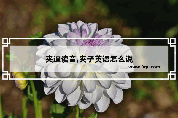 夹逼读音,夹子英语怎么说