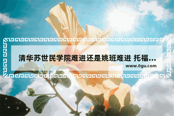 清华苏世民学院难进还是姚班难进 托福状元