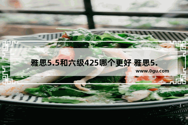 雅思5.5和六级425哪个更好 雅思5.5与英语六级