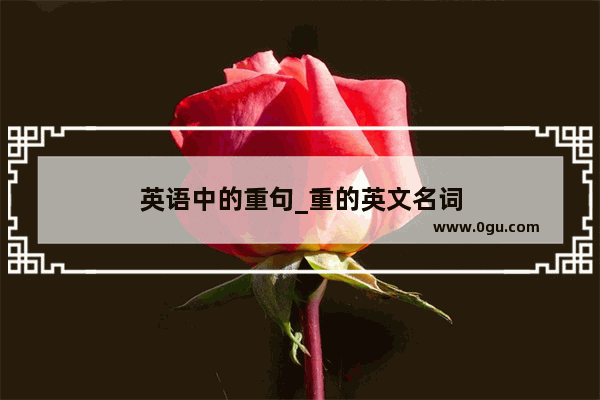 英语中的重句_重的英文名词