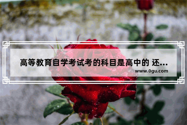 高等教育自学考试考的科目是高中的 还是大学的具体某专业,线上英语考试怎么考试的呀